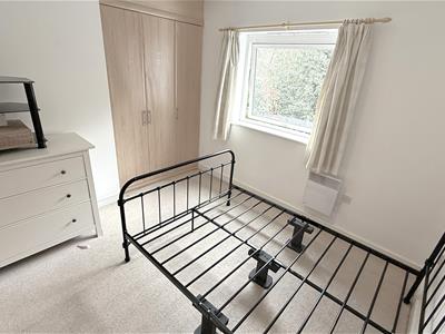 Picture 13